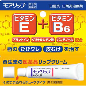 【第3類医薬品】モアリップN　8g