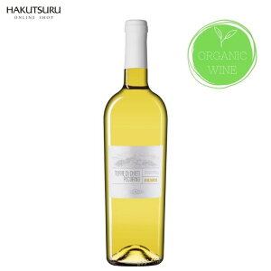 tFEhAeB[R Gg[BIO @750mlr@C C^AY@L@͔|@I[KjbN yR[m h [[tF ʎ t[eB[  _ 