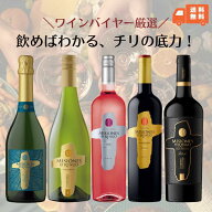 【スーパーSALE 50%OFF】 ワインバイヤー厳選！飲めばわかる、チリの底力。ミシオネス5本飲み比べセット …