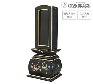 wŒZ3Ŕ/ꖳxD P Jh ǂ o/Jo 5.0yhʔvEGʔvE_/Ƌʔvz