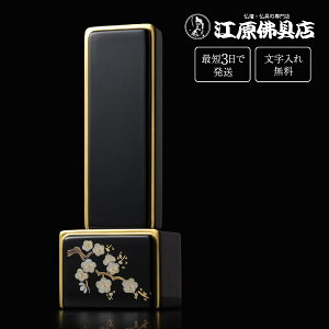 wŒZ3Ŕ/ꖳxԕ ʕ G ~ 4.0y؈ʔvEGʔvE_/Ƌʔvz