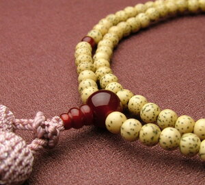 �y�ՍϏ@�m�����p�n�z������� ����d�� 8�� �������t�y����/�O��/�{���O��z