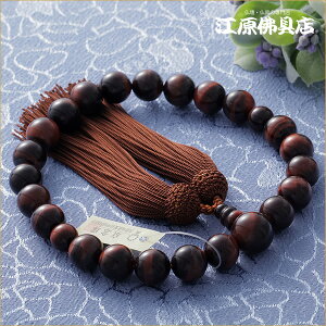 [[OK]ԌՖڐ22(1i) tᎆ⒃F[yO/jzyO//jz