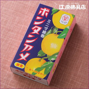 [[OK]yE/J}z{^A ~j  ̐l̍D