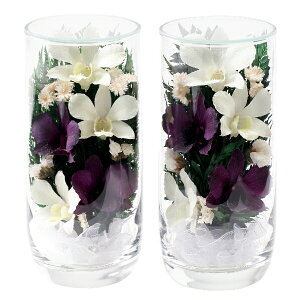 ysE~/傤zvG[ M  #7938N