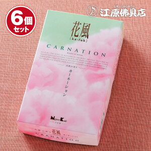 �y�����E����/���{�����z���j���[�A�� �ԕ� �J�[�l�[�V���� �o���l 160g #27681 ×6�Z�b�g�y#2�z