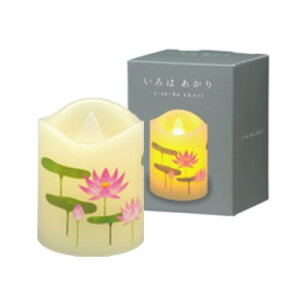 ͂SS nX#S7691-00-00yJ}EƋE_zy#2z