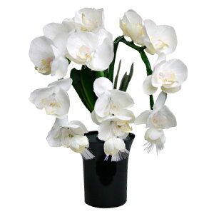 Oh~iX ӒSTD 1y_^E~/傤zy#2z