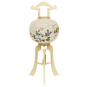 ysE~/傤z11  i1jy#2z