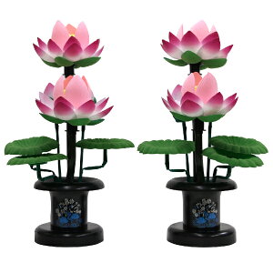 y@ؓE~/傤z3 @ؓ y#2z