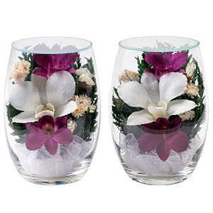 ysE~/傤zvG[ S  #7935Ny#2z