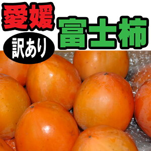 xm`@QY@󂠂@10kg@