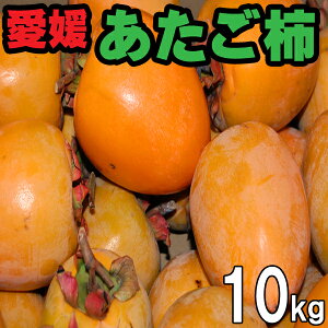 `@`@`@a`@`@邵`p@QY@10kg@