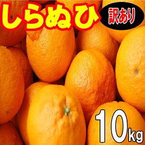 Q FaY ʂ ( fR| ) 󂠂 10kg 