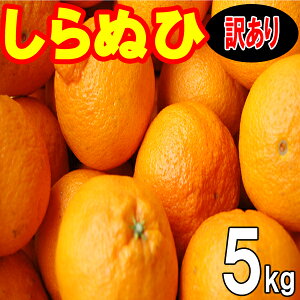 Q FaY fR| ʂ 󂠂 5kg  2{甭