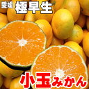 愛媛みかん 西宇和　八幡浜　小玉みかん 訳あり 2.5kg 2セットで5kg送料無料　3セットで10kg送料無料