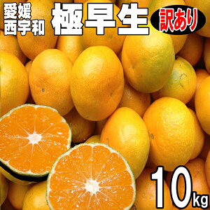 Q݂ FaY ɑ@󂠂@10kg@