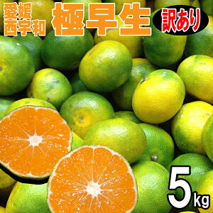 Q݂ FaY ɑ@󂠂@5kg@