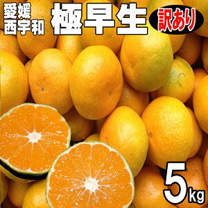 Q݂ FaY ɑ@󂠂@5kg@