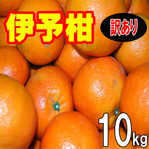 Q ɗ\ 󂠂 10kg Q Fa l  1{甭