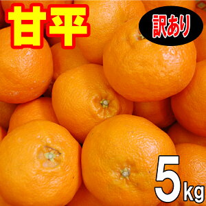 Q FaY Õ 󂠂 5kg  2{甭