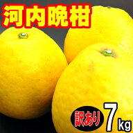 愛媛県産 河内晩柑 訳あり 7kg 美生柑 宇和ゴールド ジューシーオレンジ 和製グレープフルーツ 晩柑 送料…