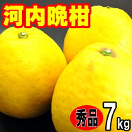 河内晩柑 秀品お中元ギフト贈答用 7kg 愛媛産 美生柑 宇和ゴールド ジューシーオレンジ 和製グレープフル…