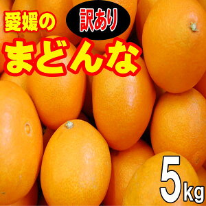 Q ̂܂ǂȁ@󂠂@5kg@QFaY@@12{甭