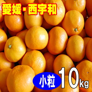 y11{甭zQ݂ ʂ݂   Q Fa l 10kg  2s 3s
