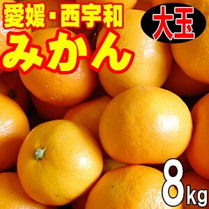 y11{甭zQ݂ ʂ݂ 8kg Q Fa  3L܂2LTCY 