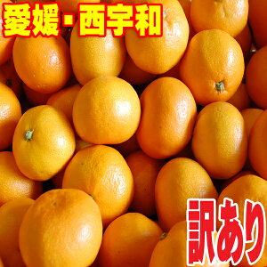 y11{甭zy2ȏőzQ ݂ 󂠂 2.5kg Q Fa l 2 5kg  3 10kg  11{甭