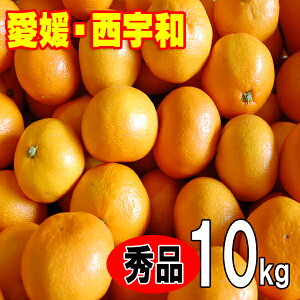 y11{甭zQ݂ Gi Ε Mtg  Q Fa l 10kg  STCY MTCY