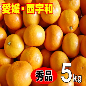 y11{甭zQ݂ Gi Ε Mtg  Q Fa l 5kg  STCY MTCY