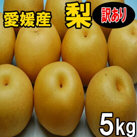 楽天市場】幸水梨・豊水梨・秋月梨・新高梨 訳あり家庭用 約5kg 