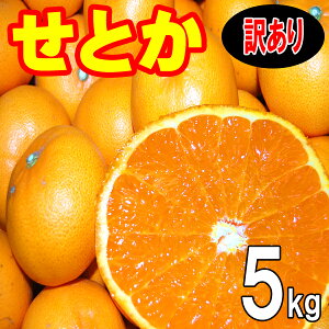 Q @Ƃ@󂠂@5kg@QFaY@@2{甭