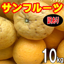 愛媛 　サンフルーツ（新甘夏）　訳あり　10kg　愛媛西宇和産　送料無料　3月下旬から発送　産地直送