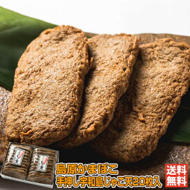 TJ-20／手押し宇和島じゃこ天20枚入｜島原本舗【愛媛 宇和島 じゃこてん てんぷら 練り物 手押し 手作り 直送 ギフト 贈り物 プレゼント 送料無料】［愛媛百貨店］お中元・夏ギフト