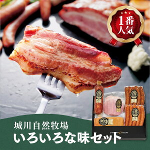 낢ȖZbgS5iECi[Ax[RAT~jbt@Ng[ Q \ 쒬 hCcd oGeB BBQ AEghA VRf Mtg 蕨 v[g  