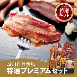 Iv~AZbgS8bt@Ng[bQ \ 쒬 n ݂ x[R tN ECi[ X[N ^ oGeB VRf Mtg 蕨 v[g  BBQ 