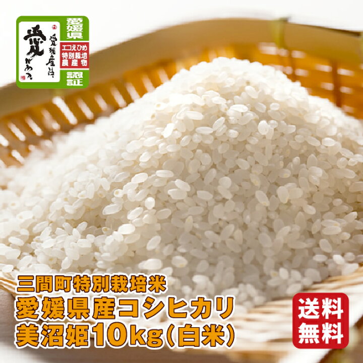 楽天市場】【令和6年度新米】愛媛県産コシヒカリ 美沼姫10kg白米  