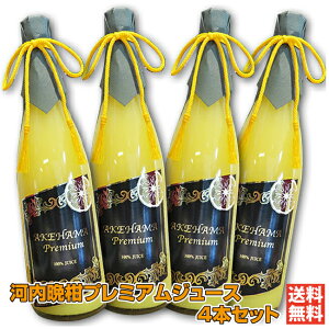 yiz͓ӊv~AW[X4{Zbgb͂܃V[TChTp[N Q \s l kۍ 100% ͓ӊ S[h IW Mtg 蕨 v[g ̂ 