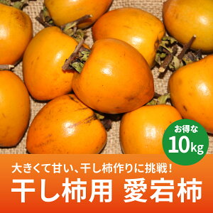 yz`p ` 10kg LYy11{ȍ~zbQ s O a` ~̕ `Yn  NlC Ԍ ʌ 邵`