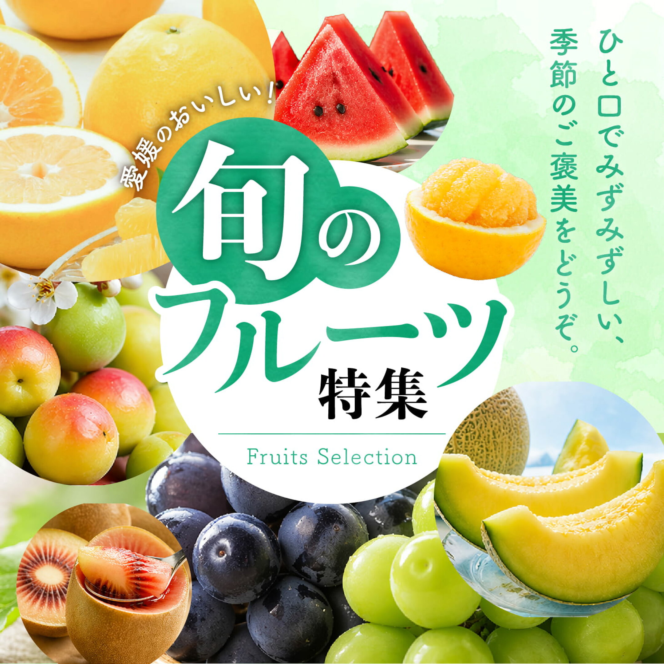 愛媛県産の旬フルーツをお届け