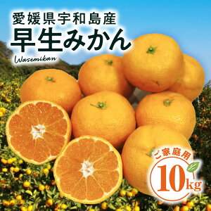 yzQ FaY ݂ 3kg`10kg ƒpy11{ȍ~zb Q݂ B݂ ݂ k  ~J t[c 3kg 5kg 10kg ʕ Q 傫C p 