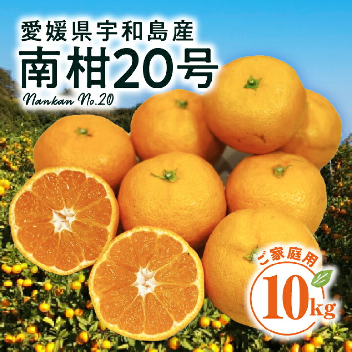 愛媛県産 南柑20号 柑橘 10kg