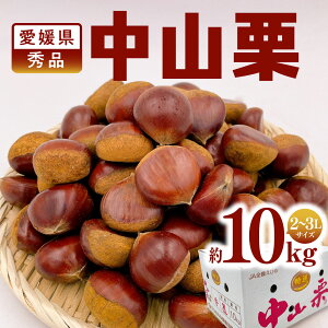 QY RI Gi 2L`3LTCY b3kg 10kg y9{甭zbQ R I  N aI 嗱 a  ʕ t[c Ԍ Mtg p 蕨 v[g 