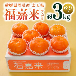 yz× ӂ 3kgi6`9ʓjy11{ȍ~zbQ KY ` a` ` Gi 3kg p t[c  Ԍ p Mtg v[g