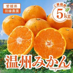 yzQY B݂ 5kg ƒpy12{`zb c_ Q ݂  ~J 񂵂イ݂ ʕ 5kg Yn t[c  傫C p 