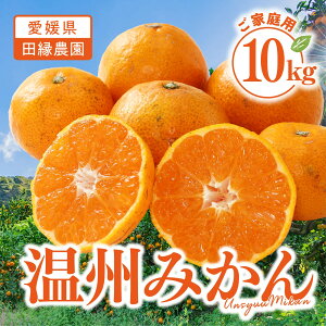 yzQY B݂ 10kg ƒpy12{`zb c_ Q ݂  ~J 񂵂イ݂ ʕ 10kg Yn t[c  傫C p 