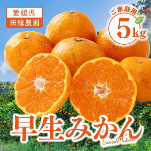 yzQY ݂ 5kg ƒpy11{`zb c_ Q ݂  ~J  킹݂ ʕ 5kg Yn t[c  傫C p 